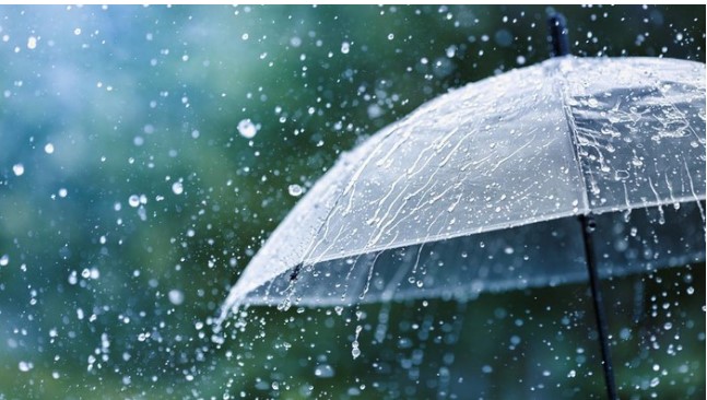 Tips Praktis Agar Rumah Tetap Kering dan Aman Saat Puncak Musim Hujan